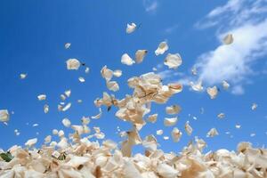 The white petals fall off with blurred clear blue sky and cloud. photo