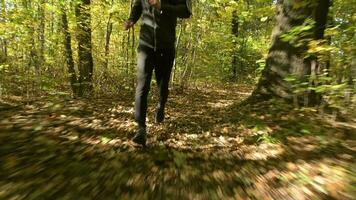 deportista corriendo en un bosque. caucásico hombres en su 30s tarde correr. video