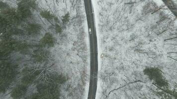 Top down view of road going through forest in Wisconsin. Snowy forest on mountainside. Leafless trees and pine trees present. video