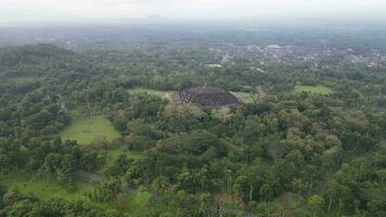 4K Aerial view of Borobudur Temple in Java, Indonesia. Wide shoot with forest view. video