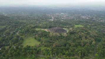 4k antenn se av borobudur tempel i java, Indonesien. bred skjuta med skog se. video