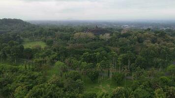 4k aéreo ver de borobudur templo en Java, Indonesia. amplio disparar con bosque vista. video