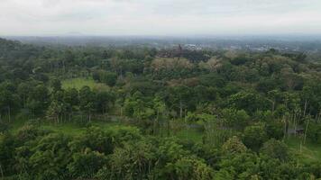 4k antenne visie van borobudur tempel in Java, Indonesië. breed schieten met Woud visie. video