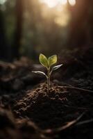 un joven planta creciente en luz de sol. ai generativo foto