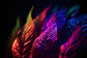 Defocused neon overlay. Blur led glow. Leaf texture glare. Blur fluorescent purple red decorative illumination motion on dark black abstract background. photo