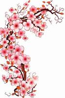 Copy space of Clipart of sakura blossoms. photo