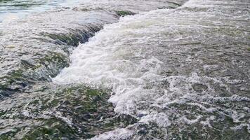 das fließend Wasser von ein Sommer- Fluss mit ein klein schnell Wasserfall im schleppend Bewegung beim Tageslicht video