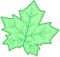 hand draw leaf png