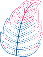 hand draw leaf png