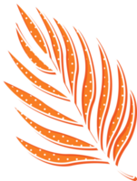 hand draw leaf png