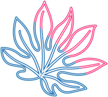 hand draw leaf png