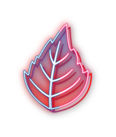 hand draw leaf png