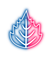 hand draw leaf png