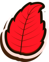 hand draw leaf png