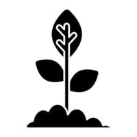 Vector design of growing plant