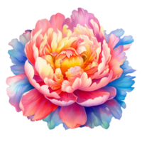 Beautiful Multicolor Peony Flower Watercolor png