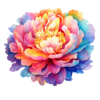 magnifique multicolore pivoine fleur aquarelle ai génératif png