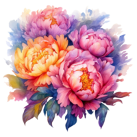 Beautiful Multicolor Peony Flower Watercolor png