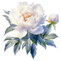 magnifique marine et blanc pivoine bouquet aquarelle illustration png