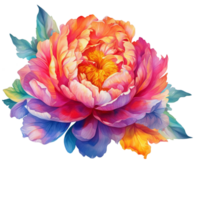 Beautiful Multicolor Peony Flower Watercolor png