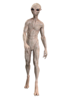 cinzento estrangeiro em transparente fundo, 3d render png