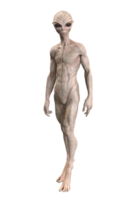 cinzento estrangeiro em transparente fundo, 3d render png