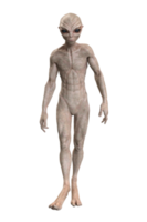 cinzento estrangeiro em transparente fundo, 3d render png