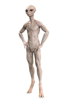 cinzento estrangeiro em transparente fundo, 3d render png