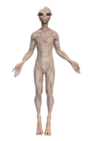 cinzento estrangeiro em transparente fundo, 3d render png