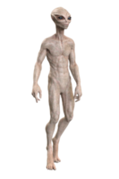 cinzento estrangeiro em transparente fundo, 3d render png