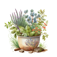 acuarela primavera colección mano hecho acuarela ilustración. en conserva plantas, riego poder, delantal, pala, carretilla, excavar, guantes, jardinería, pinzas, tijeras. elementos ai generativo png