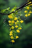 niebla después lluvia, amarillo ditang flores ai generativo foto