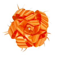 orange gift bow isolated with clipping path png