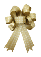 gift ribbon and bow Isolated with clipping path for mockup png