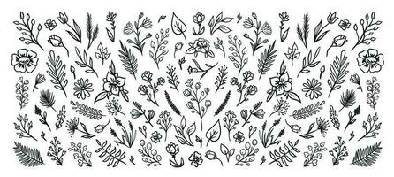 Hand drawn vector vintage elements of flowers,leaves,feathers,sprigs..Vector illustration.Elements can be used for invitations, greeting cards, quotes, blogs, wedding frames, posters.