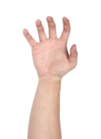 Hand sign isolated with clipping path png