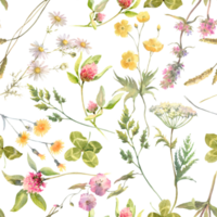 Floral watercolor pattern with flowers. Summer meadow. Delicate watercolor textile print. png