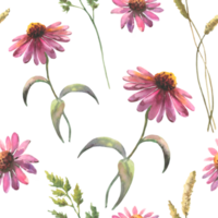 Watercolor seamless pattern with echinacea flowers and field herbs, drawing by watercolor, hand drawn floral illustration, herbal ornament.. png