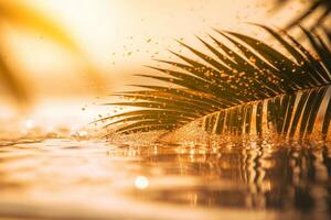 Beautiful background for summer vacation and travel. Golden sand of tropical beach, blurry palm leaves and bokeh highlights on water on sunny day. photo