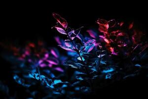 Defocused neon overlay. Blur led glow. Leaf texture glare. Blur fluorescent purple red decorative illumination motion on dark black abstract background. AI Generative photo