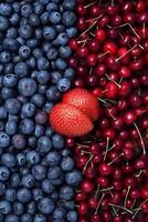 Massive pile of blueberries and massive pile of cherries. photo