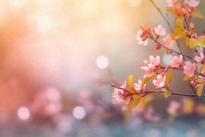 Spring background soft dramy lights. photo