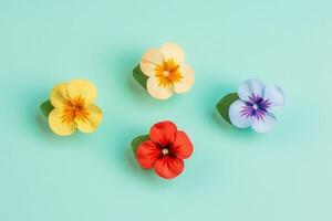 Spring flowers on blue yellow pastel background top view in flat lay style. photo