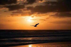 un volador Gaviota silueta en puesta de sol cielo y playa. ai generativo foto