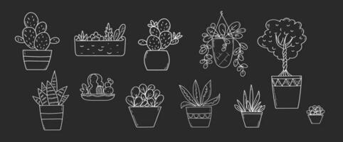 Home plants in a pot black and white doodle drawing set. Hand drawn vector illustration.