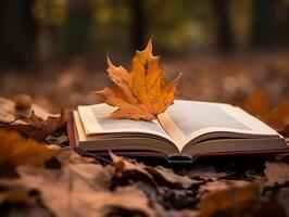 Book on a leaf with maple tree at background. photo