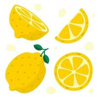 Hand Drawn Lemon. Half Of Lemon, Slice. Colorful Flat Style Vector Illustration