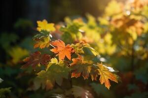 natural otoño antecedentes con dorado amarillo y naranja arce hojas brillante en el Dom en un amable borroso ligero verde antecedentes. ai generativo foto