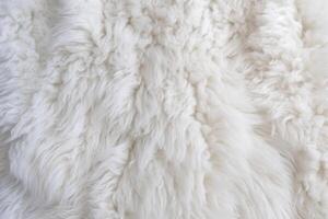 Very peri white color sheep fur sheepskin rug background Wool texture. photo