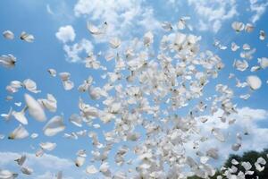 The white petals fall off with blurred clear blue sky and cloud. AI generative photo